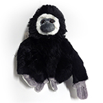 PLAN M WHITE HANDED GIBBON BLACK